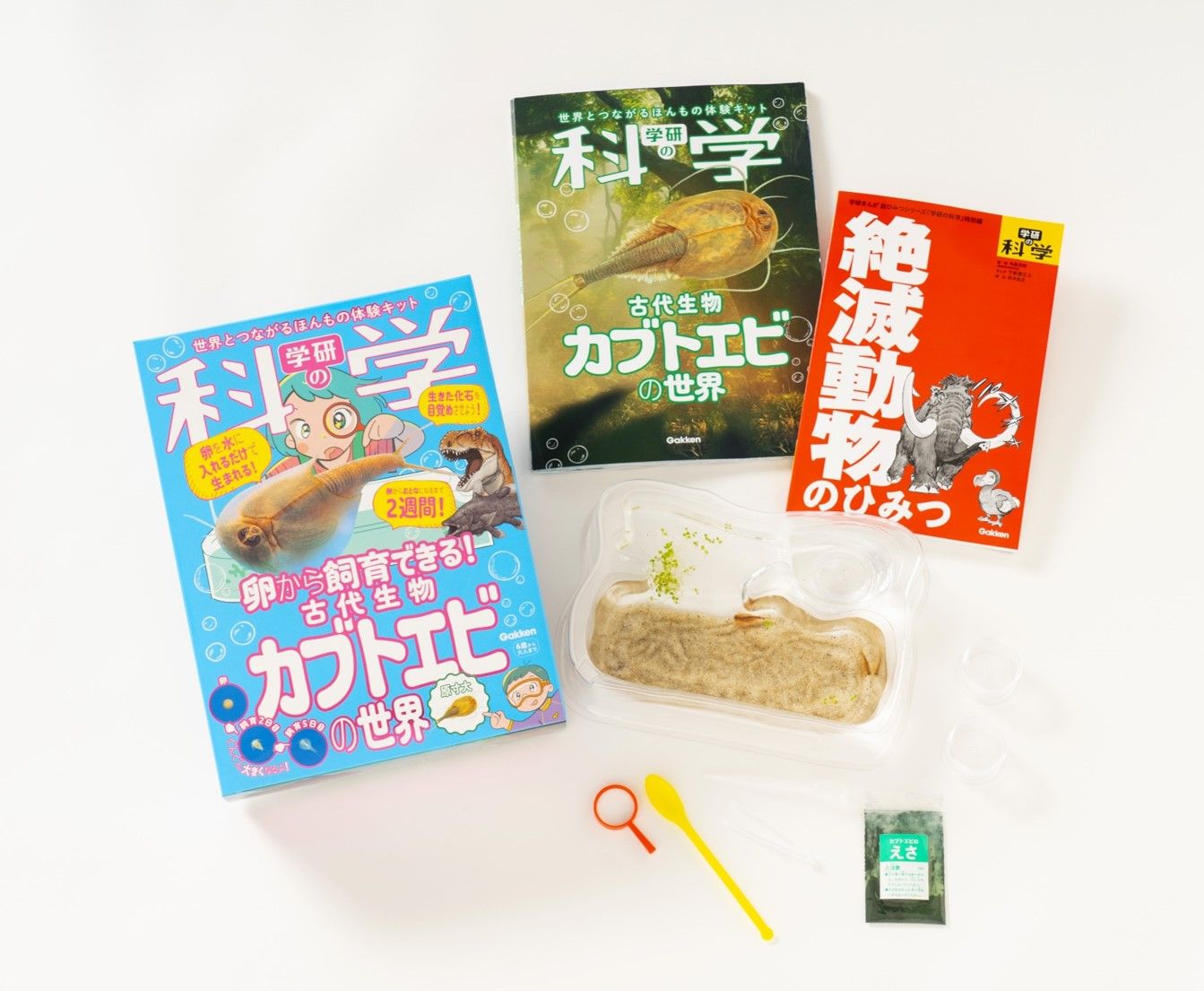 新刊発売🎊】「古代生物カブトエビの世界」で体験！ 生きた化石のふしぎ | 学研の科学 あそぶんだ研究所