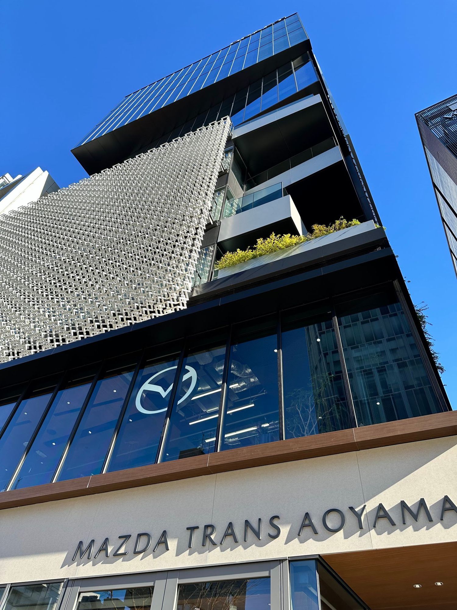 ☝MAZDA TRANS AOYAMA 1周年をお祝いしよう！ | CLUB MAZDA COMMUNITY