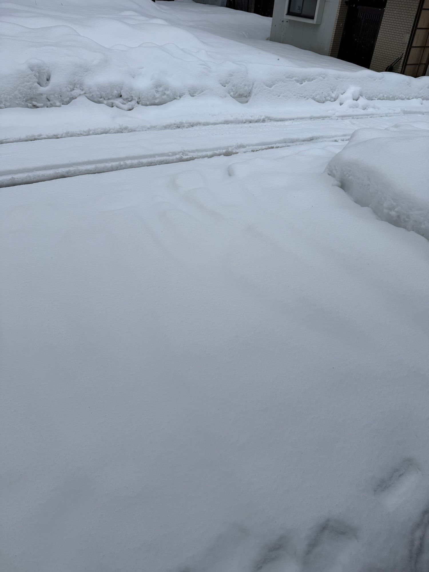 1/20頃から降り続いていた雪。 | CLUB MAZDA COMMUNITY