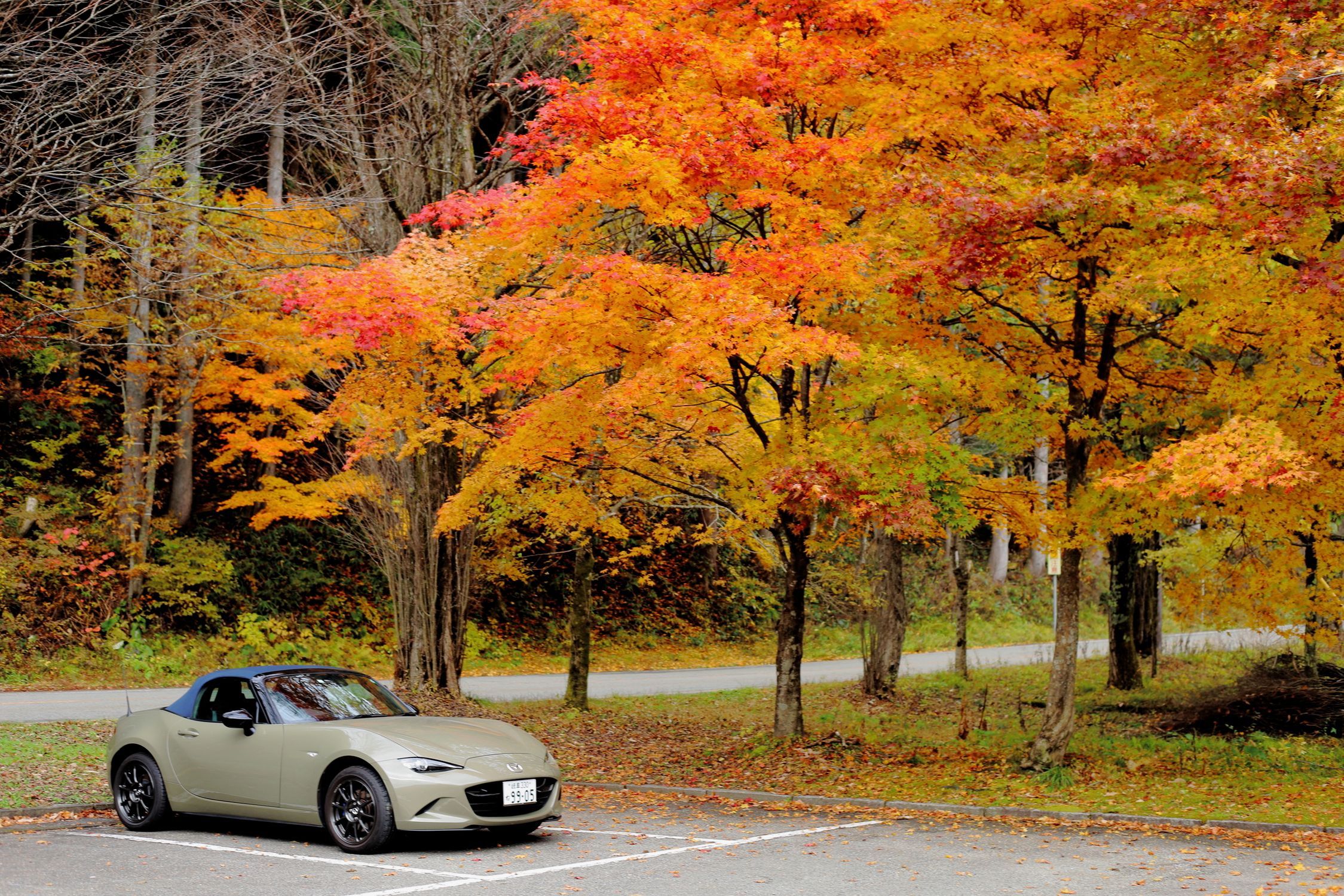 岐阜の紅葉とアウトドア | CLUB MAZDA COMMUNITY