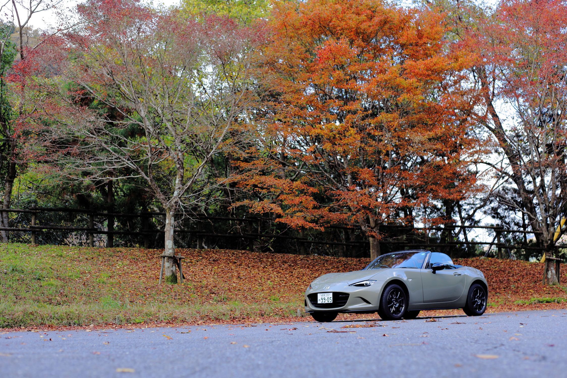 岐阜の紅葉とアウトドア | CLUB MAZDA COMMUNITY 岐阜の紅葉とアウトドア | CLUB MAZDA COMMUNITY