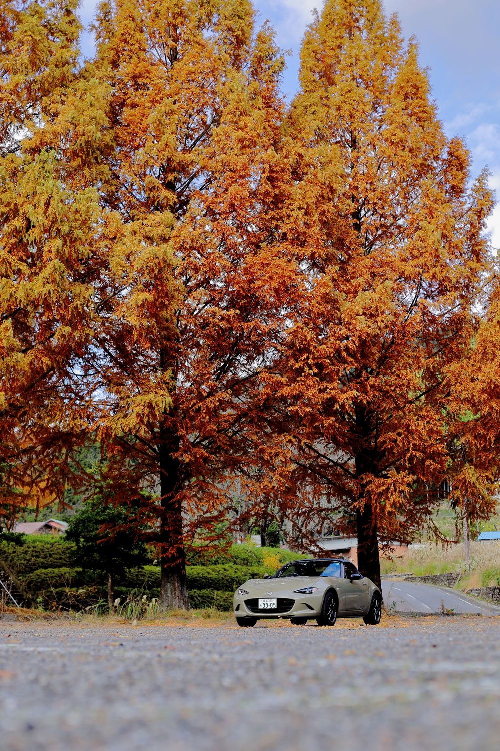 岐阜の紅葉とアウトドア | CLUB MAZDA COMMUNITY