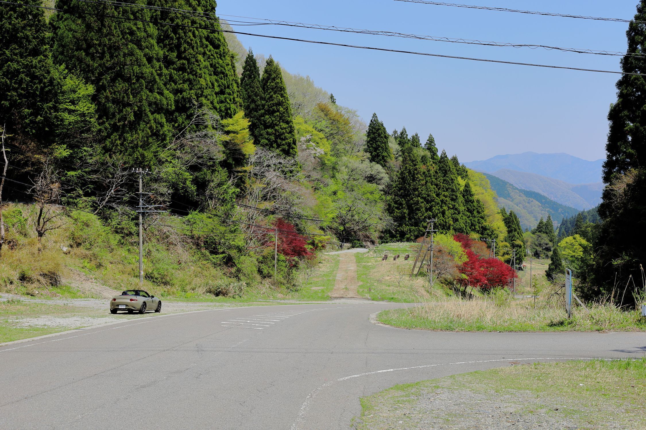 岐阜県道40号と32号線 イビーナス展望台や新緑や桜の花？の色を