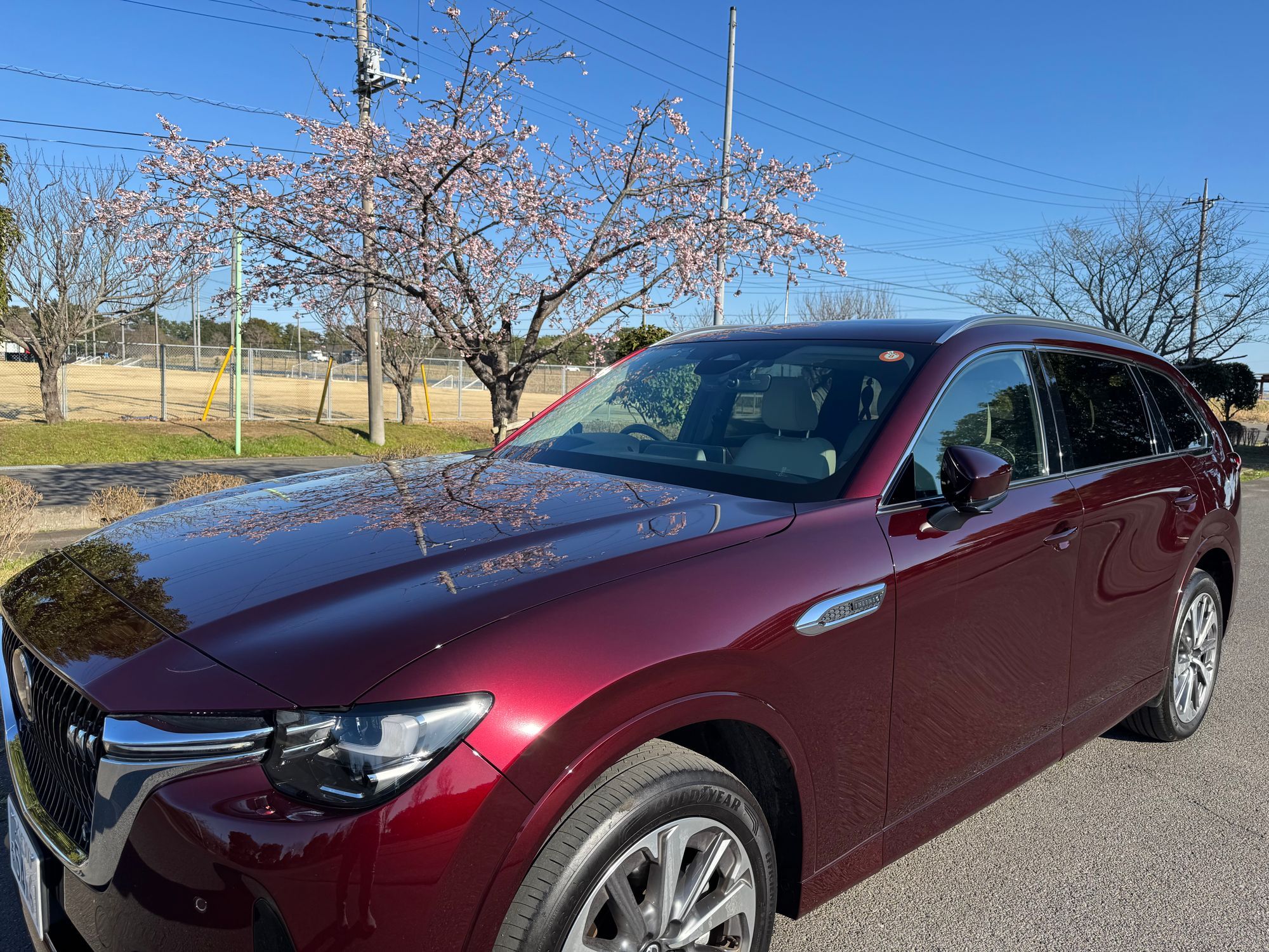 早咲きの桜とCX-80 | CLUB MAZDA COMMUNITY