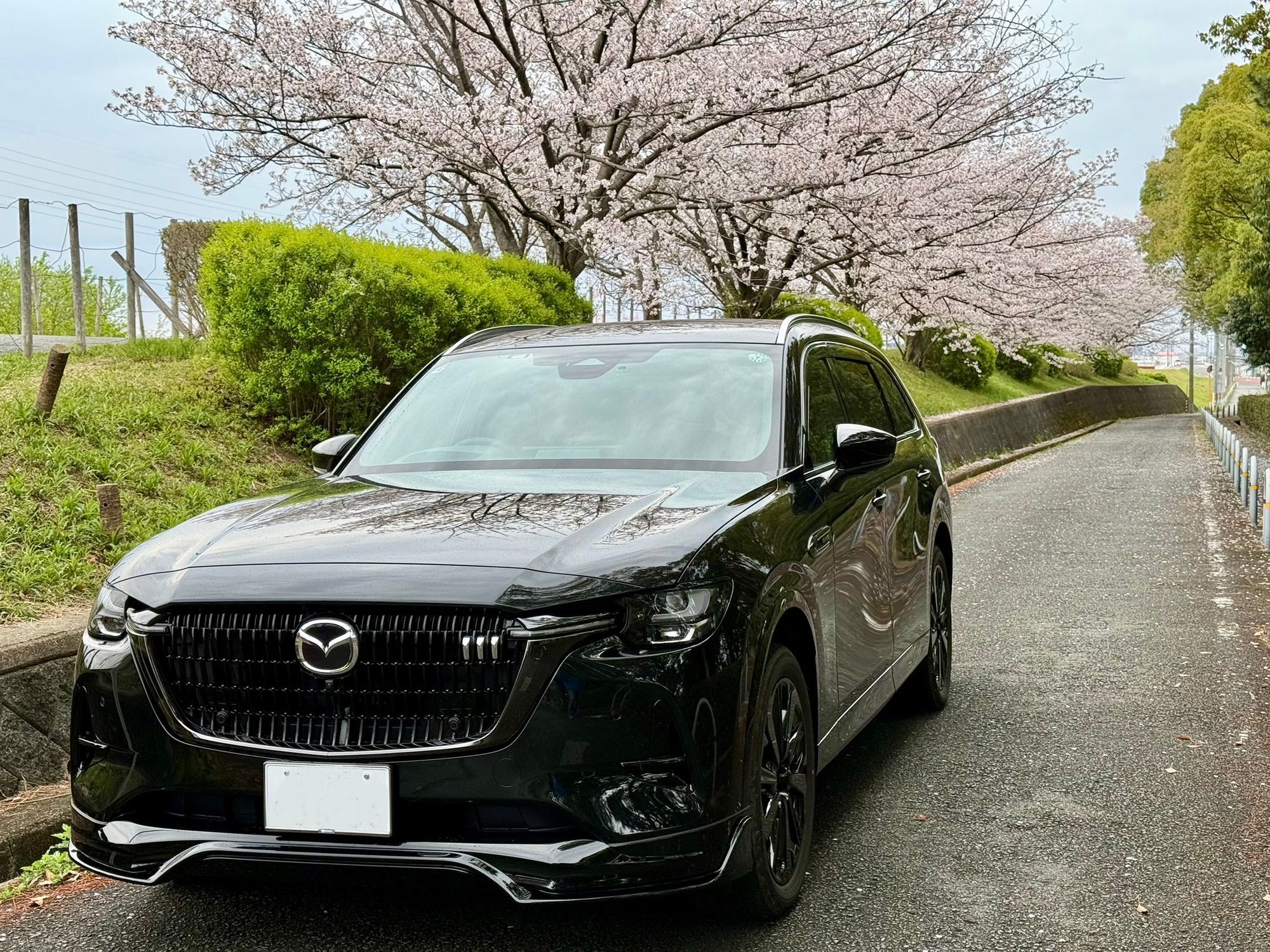 ジェットブラックマイカならでは | CLUB MAZDA COMMUNITY
