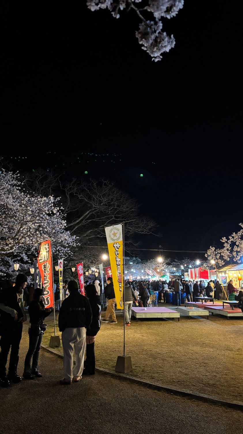 名橋 錦帯橋さくら巡り🌸山口・岩国 | CLUB MAZDA COMMUNITY