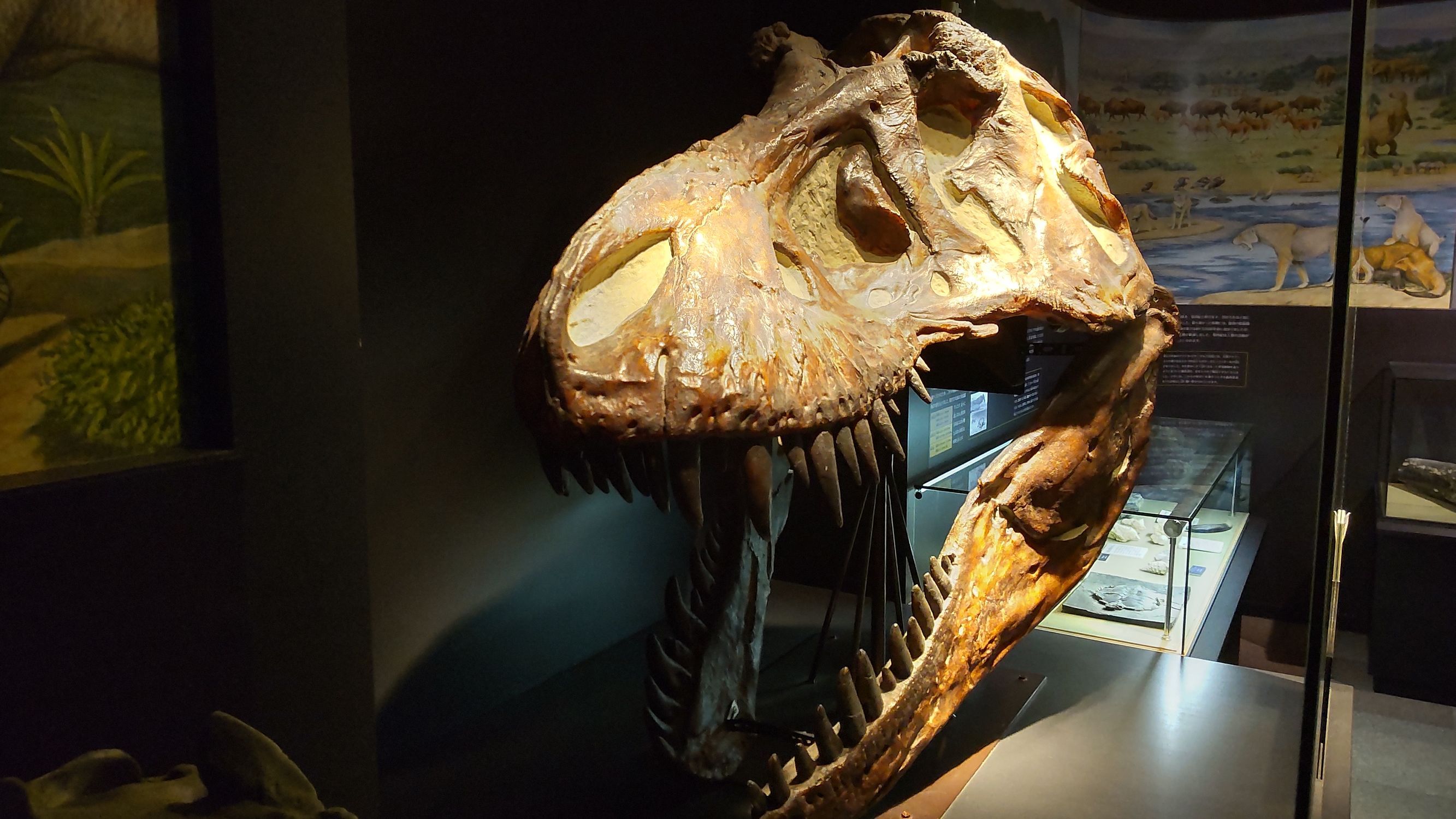 そこに泊まる選択 | CLUB MAZDA COMMUNITY