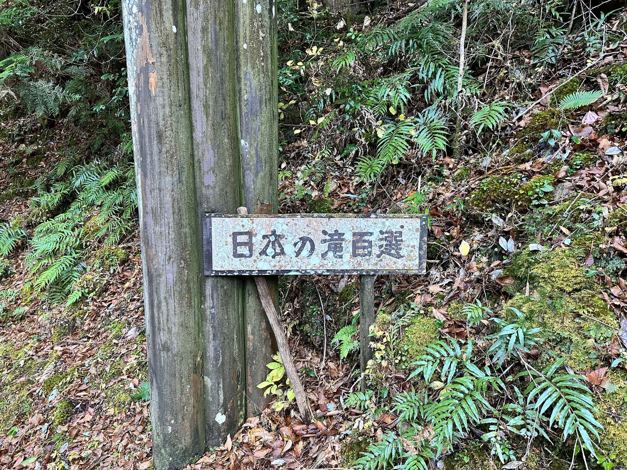 日本の滝100選] 笹の滝@奈良県十津川村 | CLUB MAZDA COMMUNITY