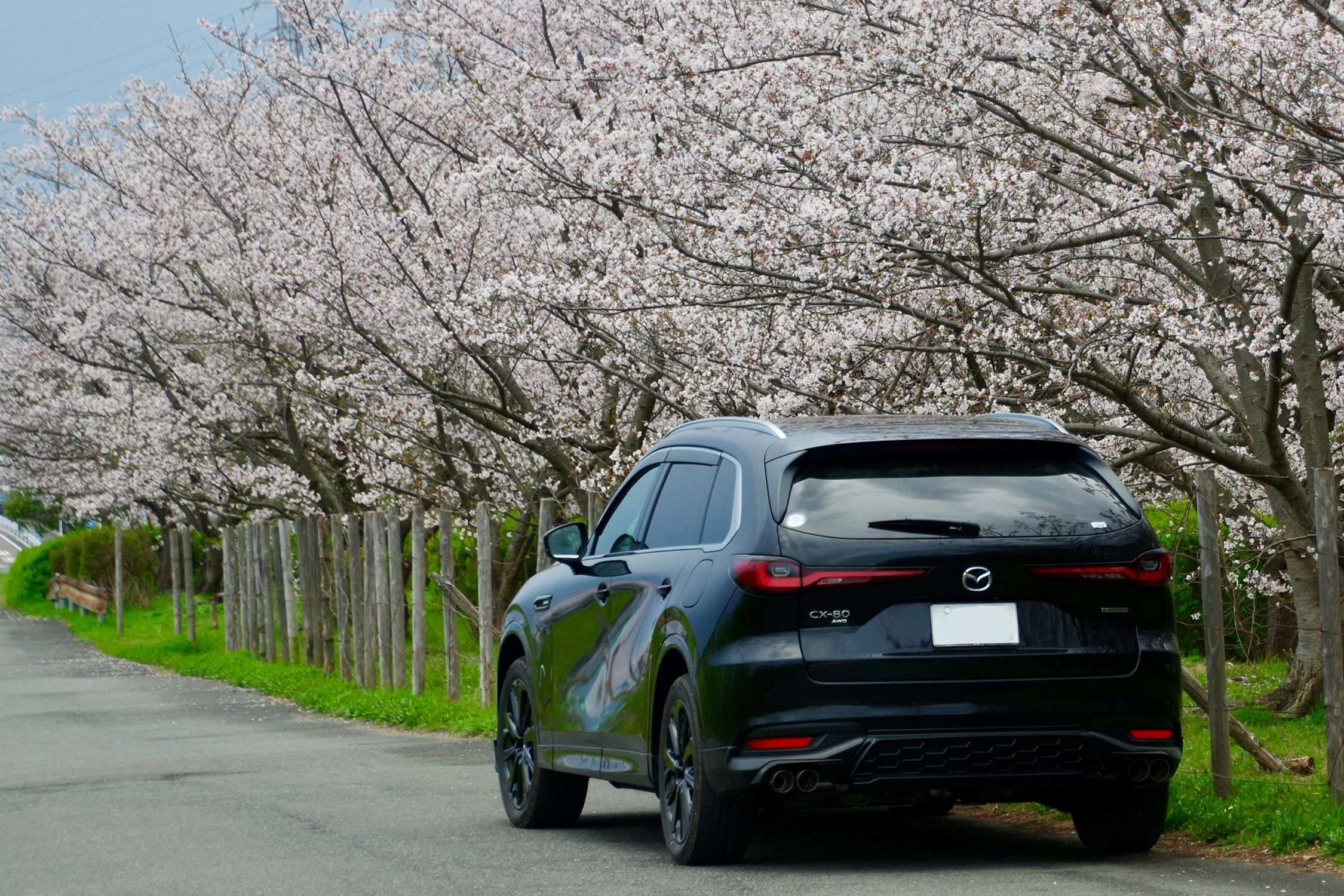 ジェットブラックマイカならでは | CLUB MAZDA COMMUNITY