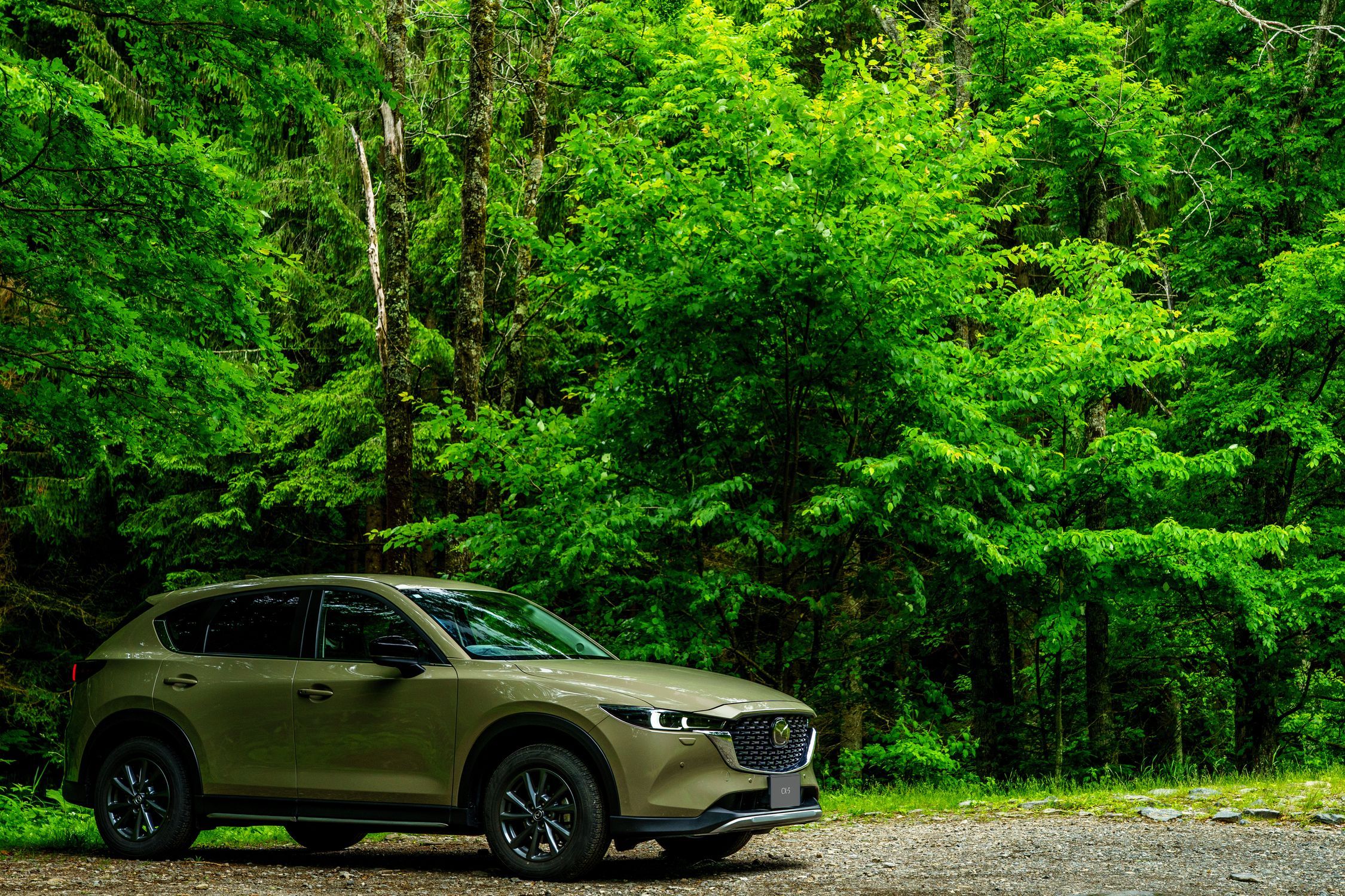 唐沢の滝 | CLUB MAZDA COMMUNITY