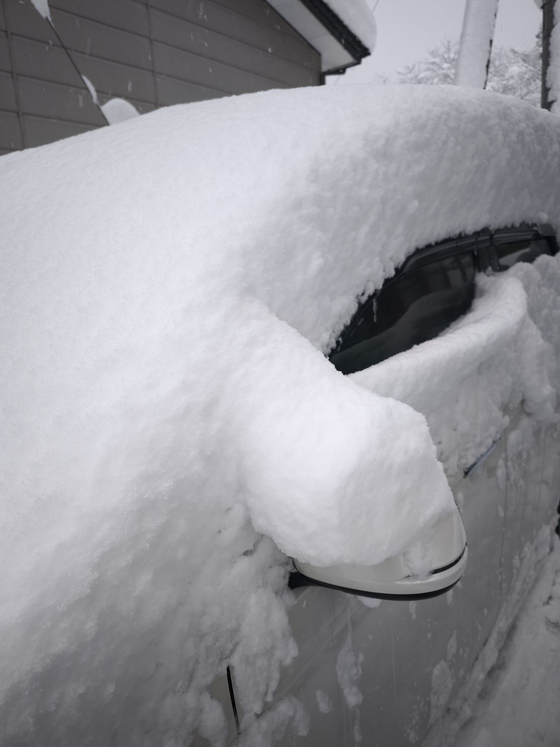 新年あけましておめでとうございます㊗️ | CLUB MAZDA COMMUNITY