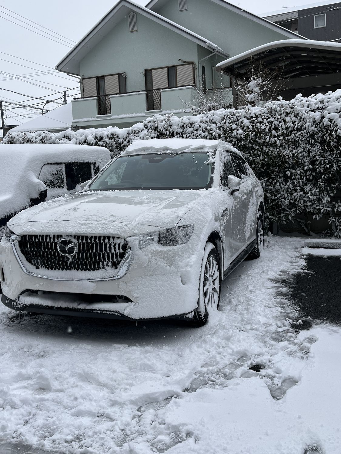 マツダと出会って変わった景色 | CLUB MAZDA COMMUNITY