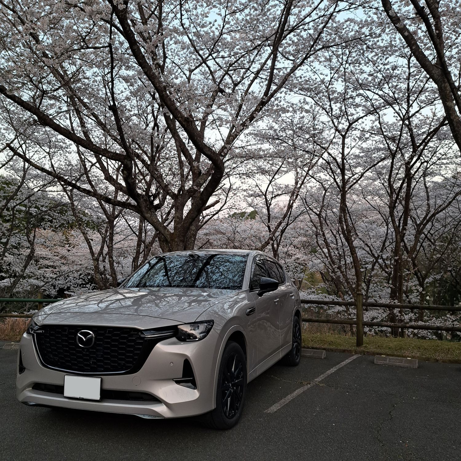 愛車自慢 CX60 | CLUB MAZDA COMMUNITY