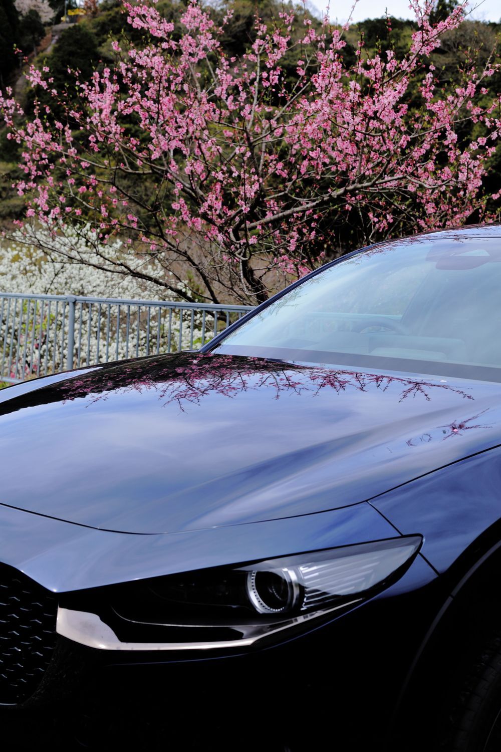 代車はCX-30でした | CLUB MAZDA COMMUNITY