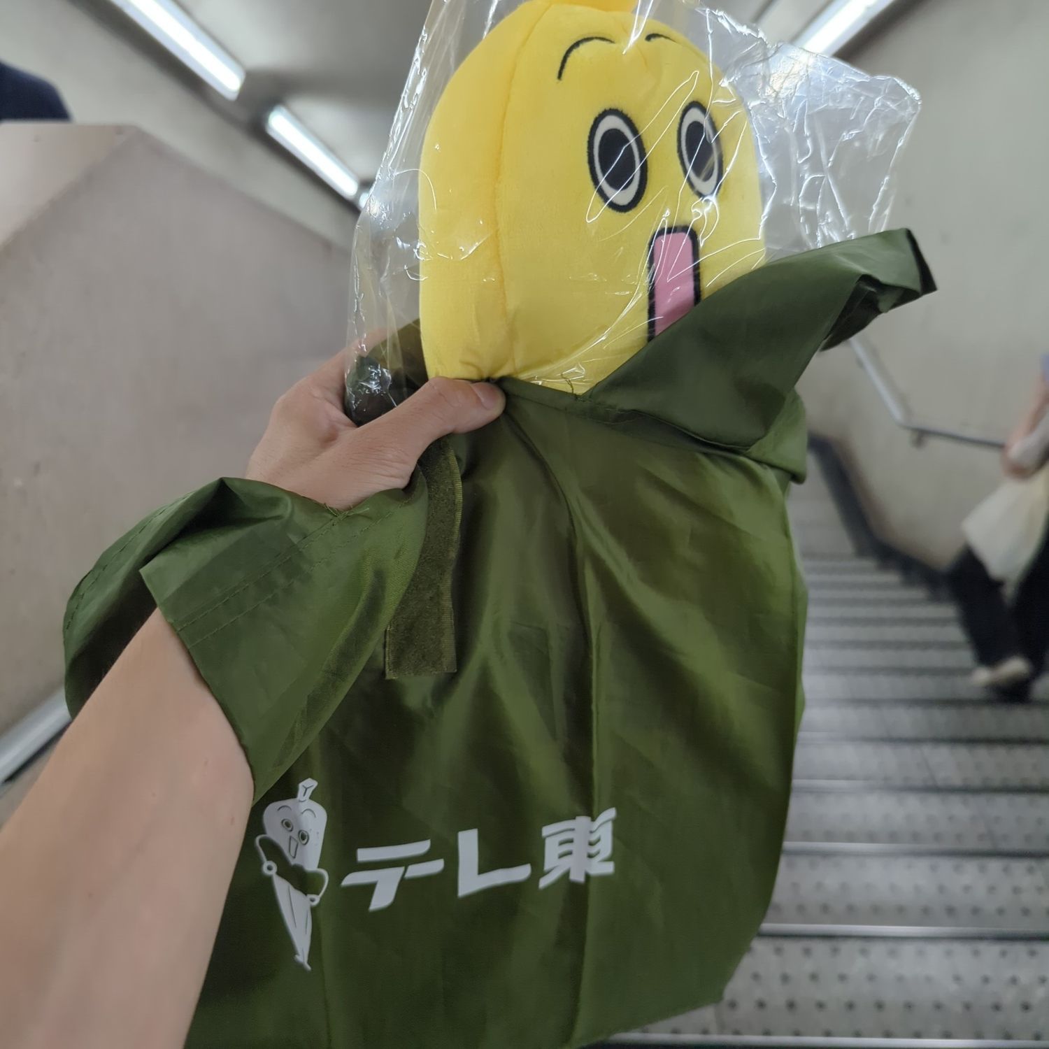 買ってみた | テレ東ファン支局