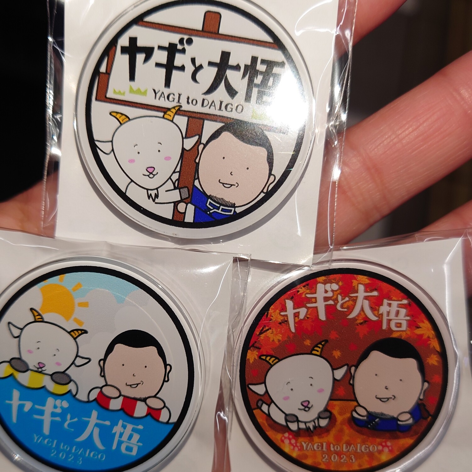 f17b4e90-84f8-11ee-966a-