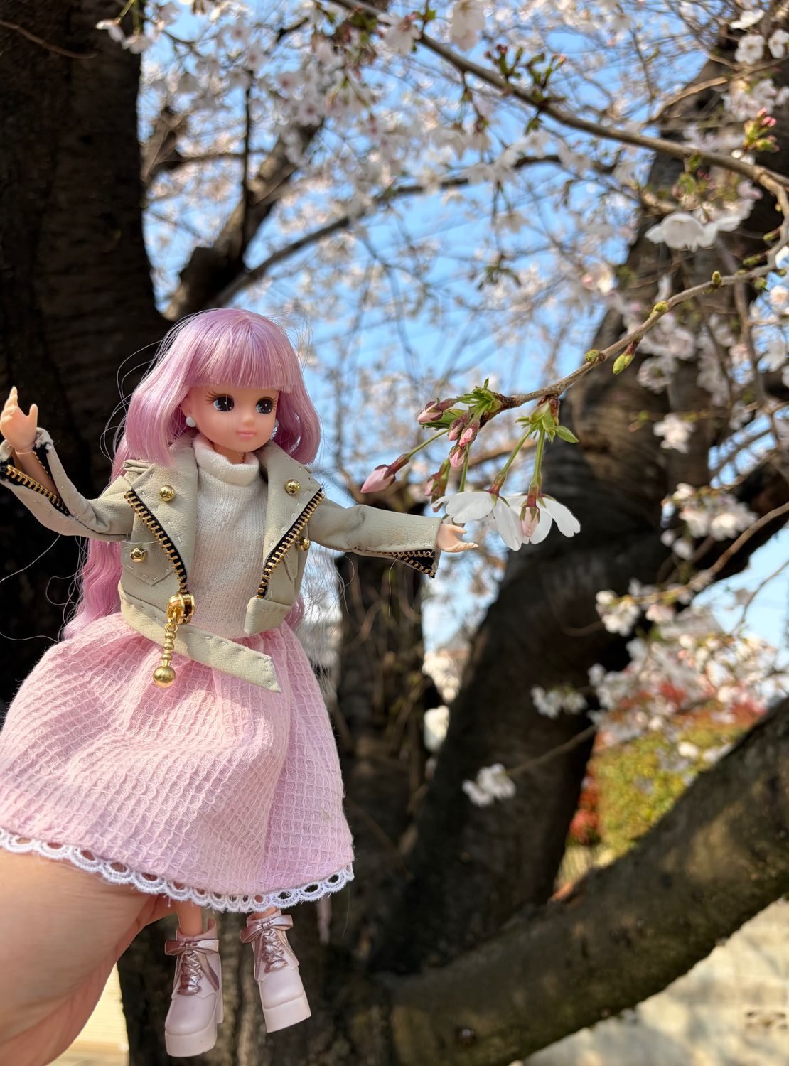 【美品】①ピンクラテ　ジャケット　②レピピアルマリオ　スカート＆リボン 今日のリカちゃん、おでかけコーデ見せて！ | リカちゃんポータル