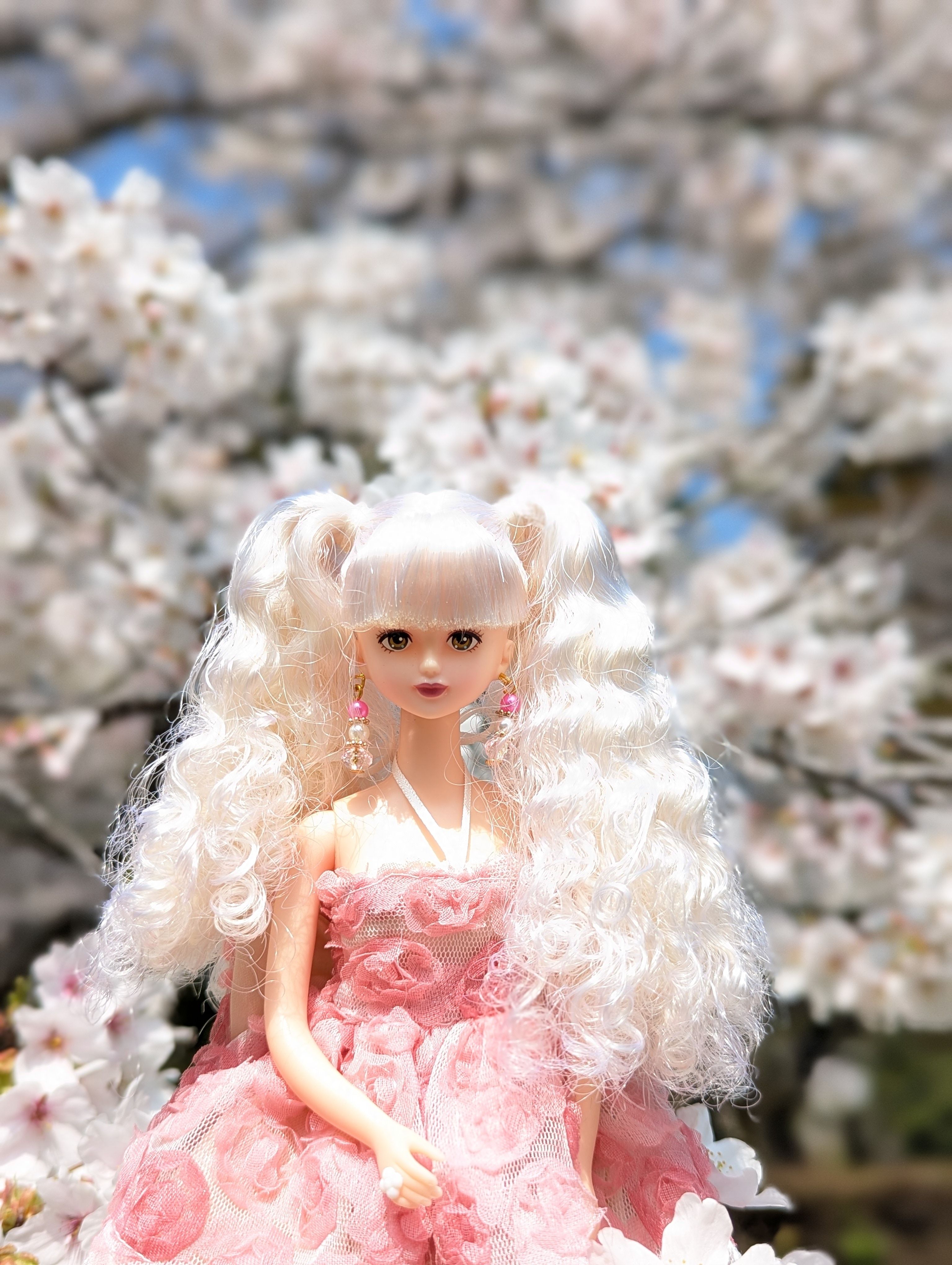 カスタムリカちゃん　桜色花嫁さん お花見に行きました | リカちゃんポータル