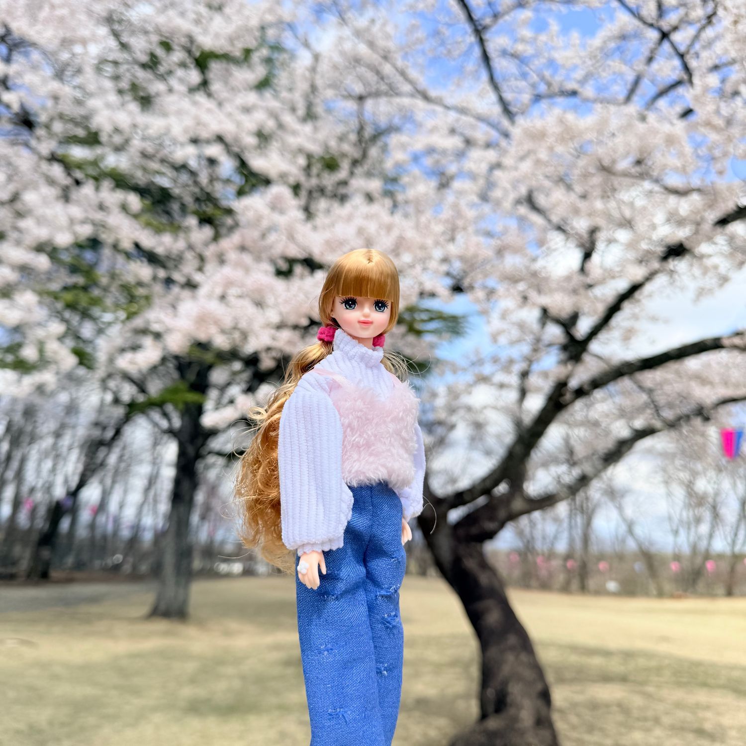 ジェニーフレンドあやのちゃん🌸 | リカちゃんポータル
