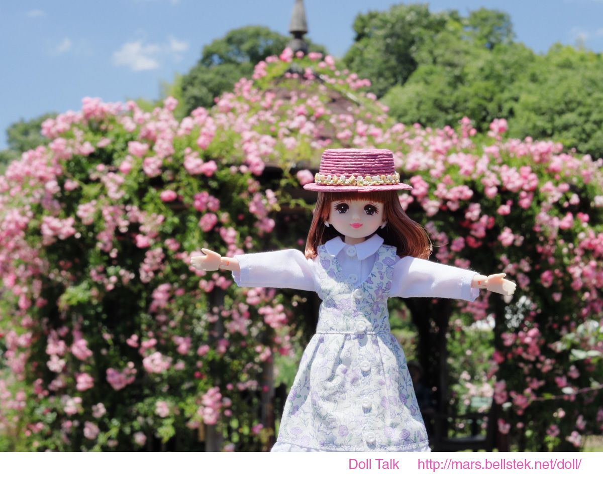 お出かけ写真 ～ 熊山英国庭園 | リカちゃんポータル