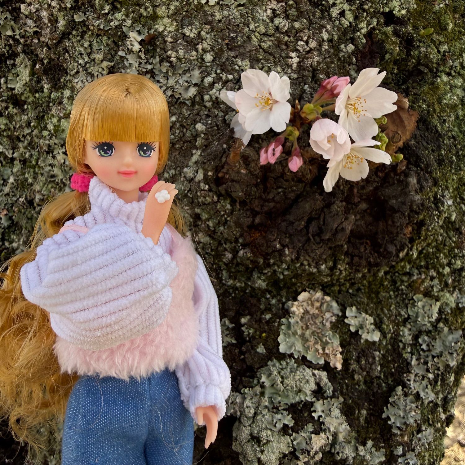 ジェニーフレンドあやのちゃん🌸 | リカちゃんポータル