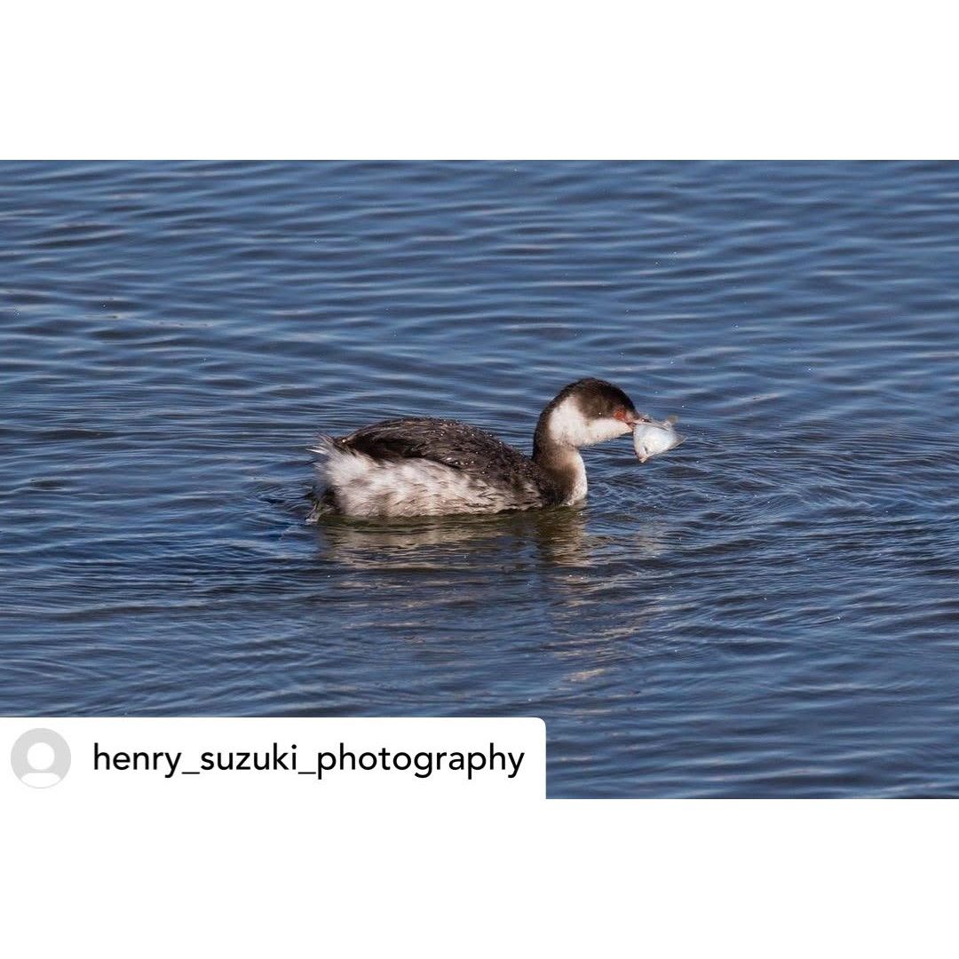 JBA:南カリフォルニア日系企業協会