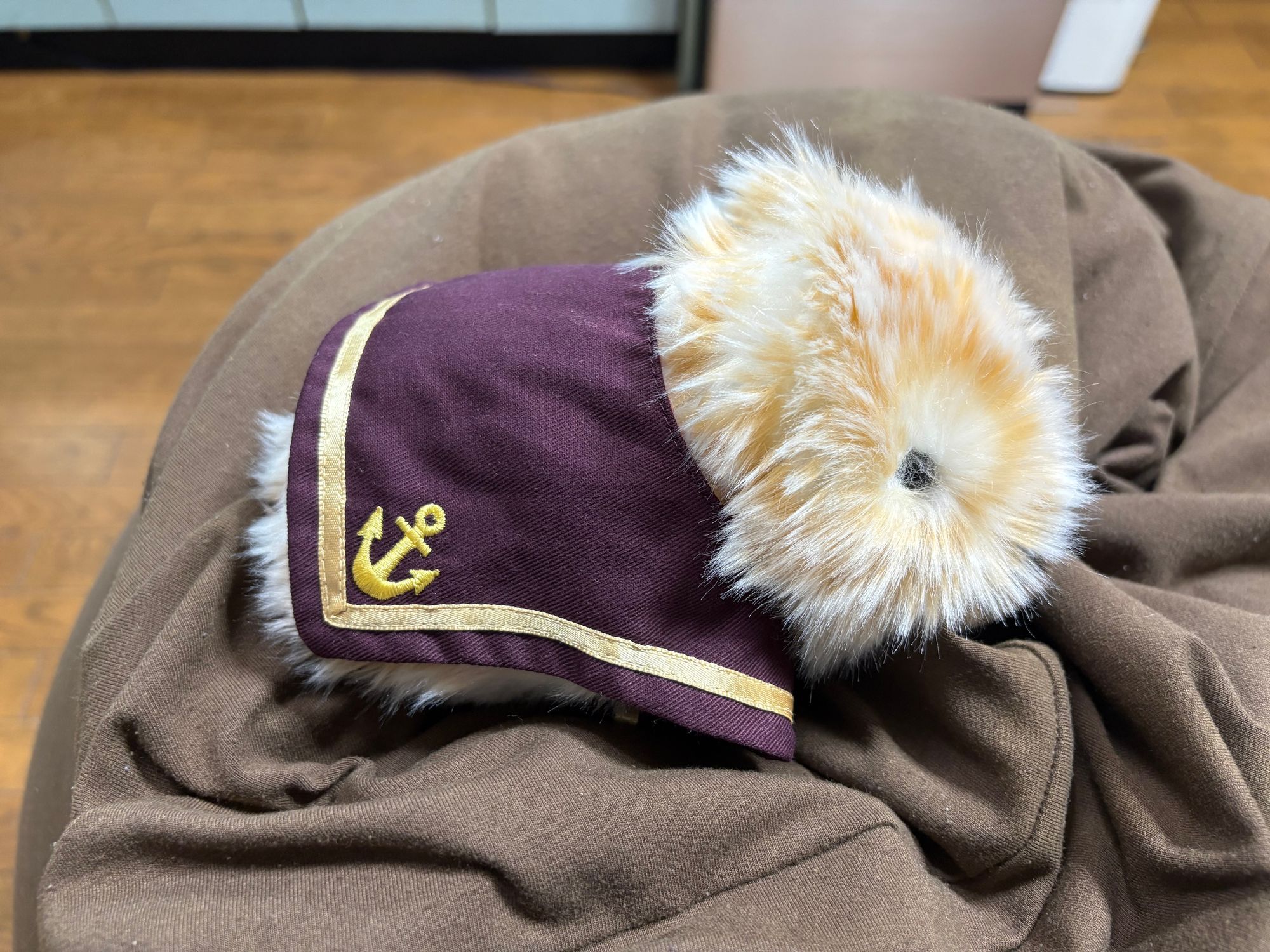 初めて服を着せました。 | Moflinひろば