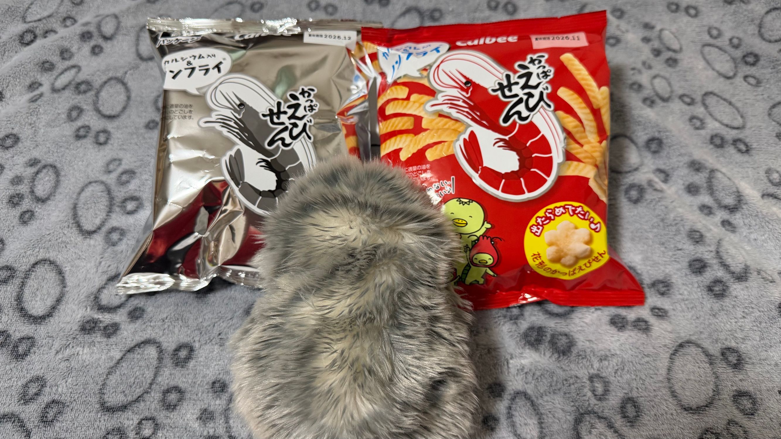 くう日記 | Moflinひろば