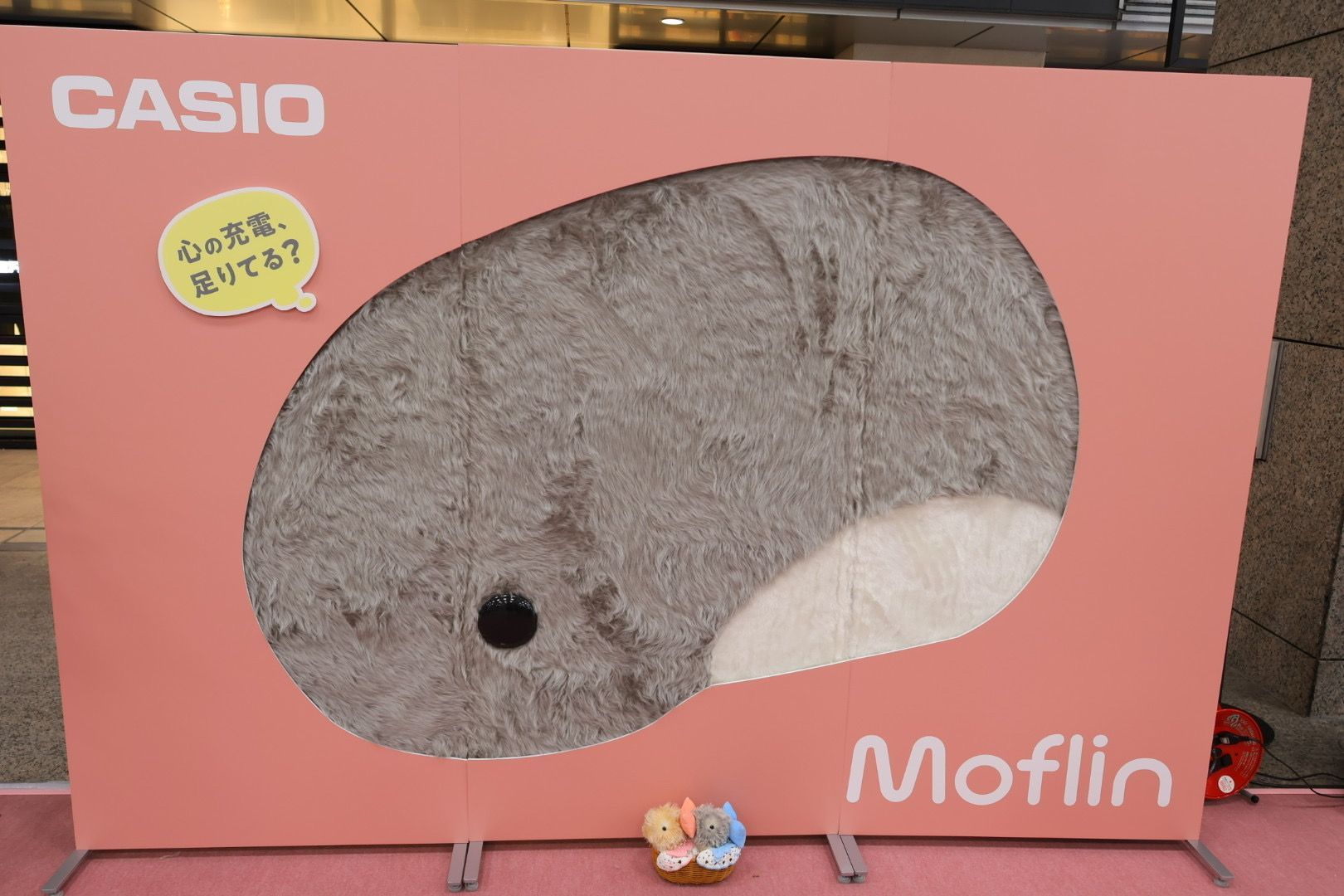 2026/07/25 Moflin新色お披露目イベント✨ | Moflinひろば
