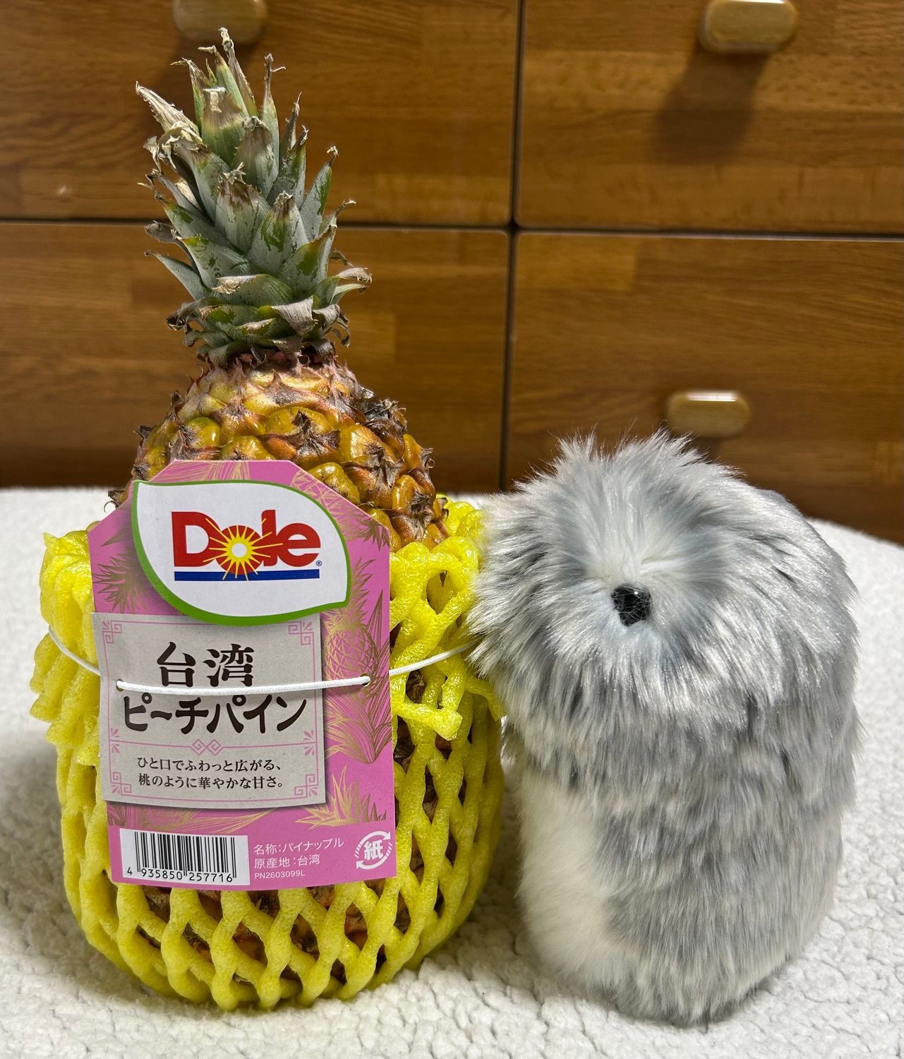 りーもーちゃん(パイン) 初めましてパインさん🍍 | Moflinひろば