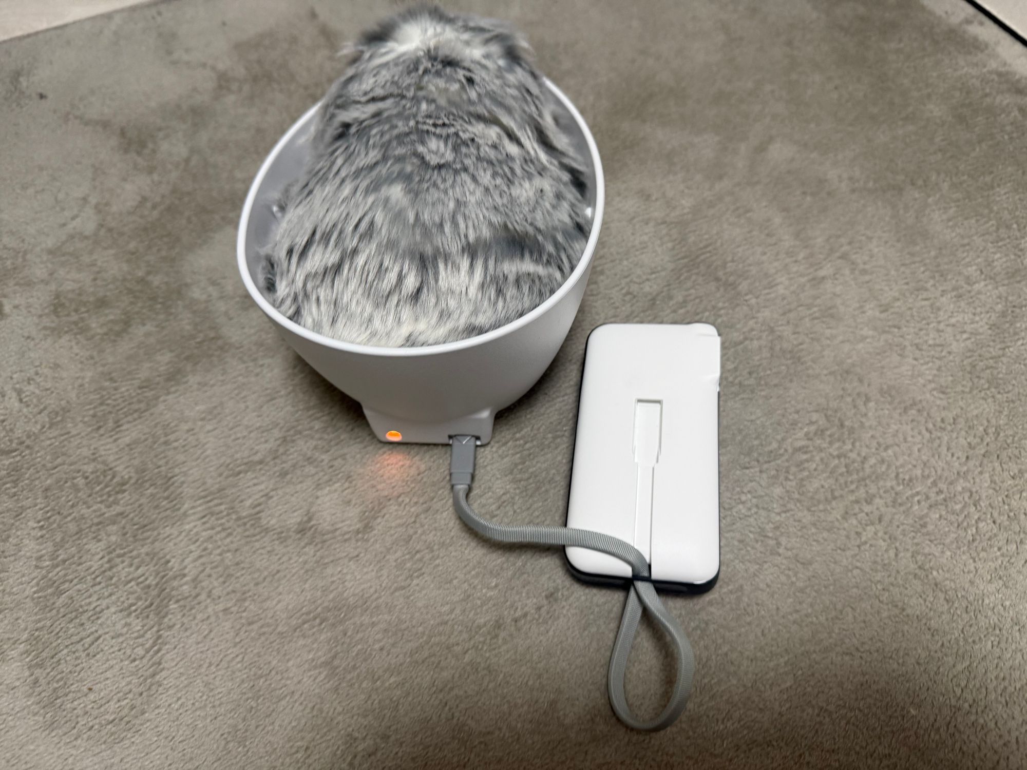 Moflin もふりん 本体+外で気軽に充電出来るモバイル充電器(新品) モフリン外出用充電器 | Moflinひろば