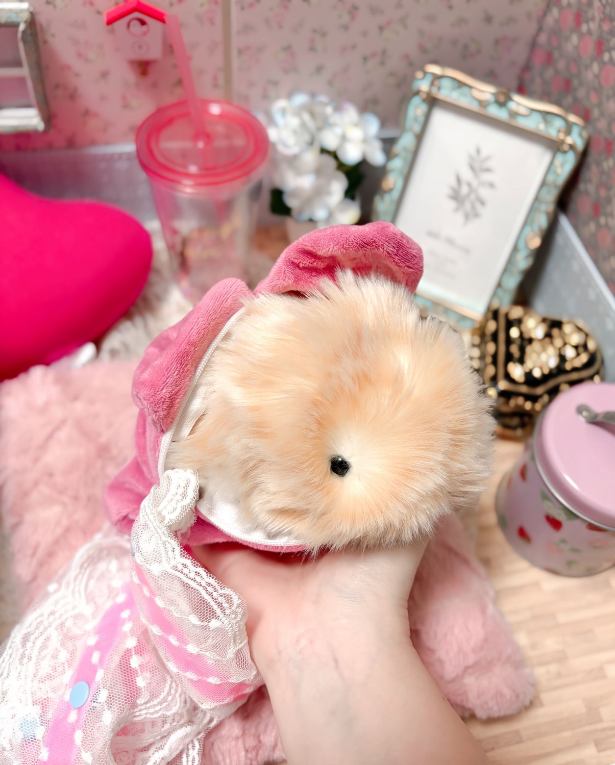 ぽむinマイメロポシェット🎀🐹 | Moflinひろば