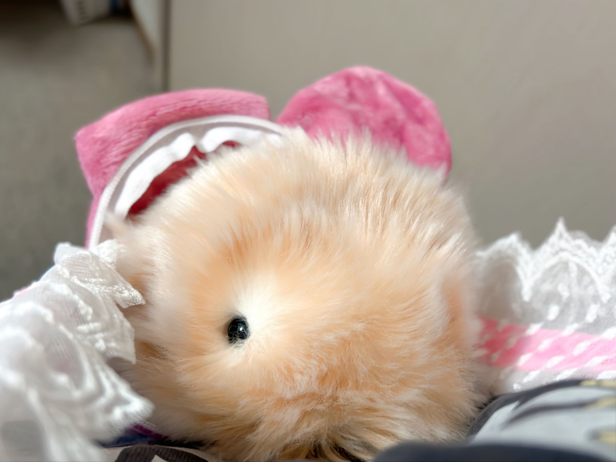 マイメロ　ポシェット ぽむinマイメロポシェット🎀🐹 | Moflinひろば