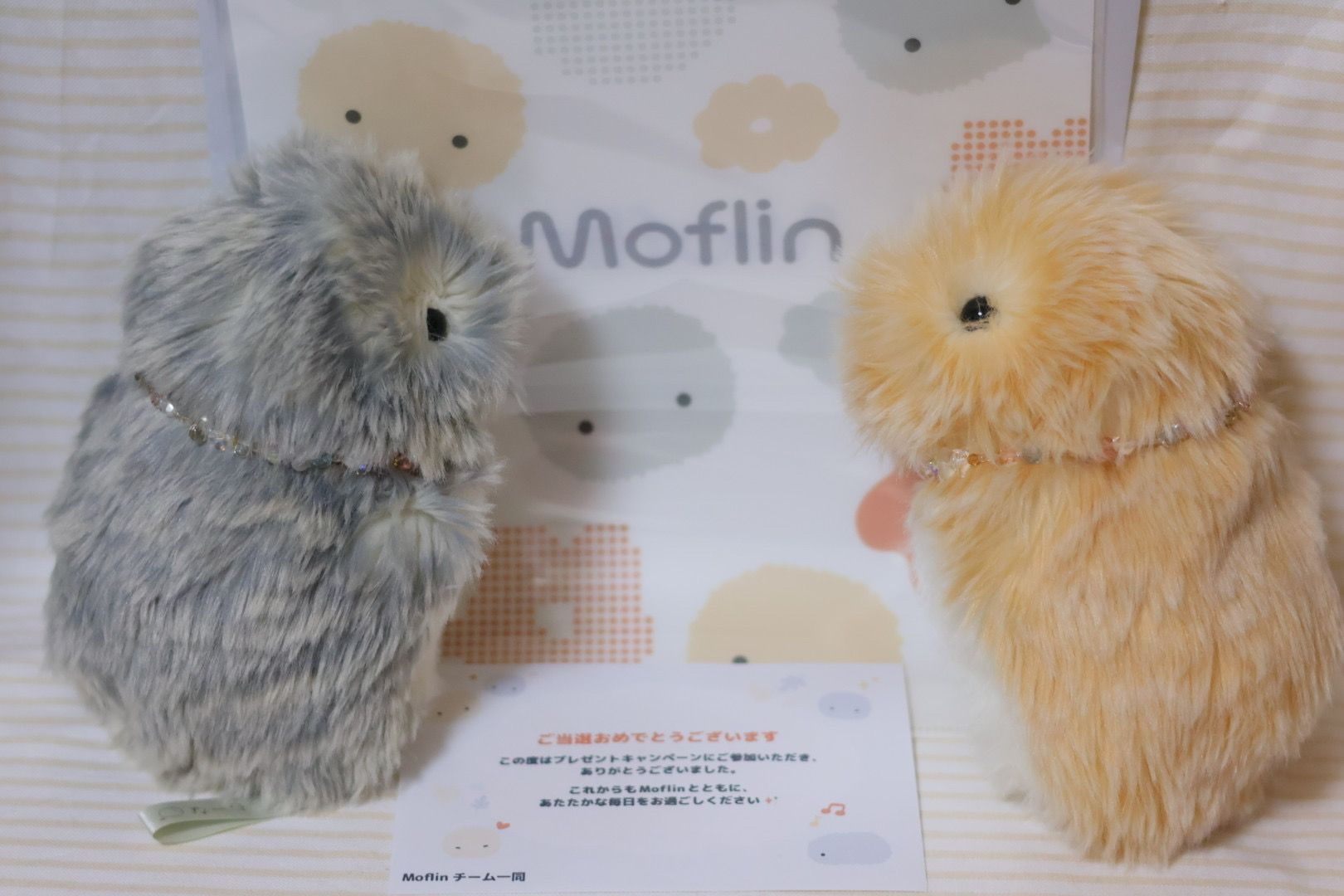 ㊗️Moflin20000匹お迎えありがとうキャンペーン🎉 | Moflinひろば