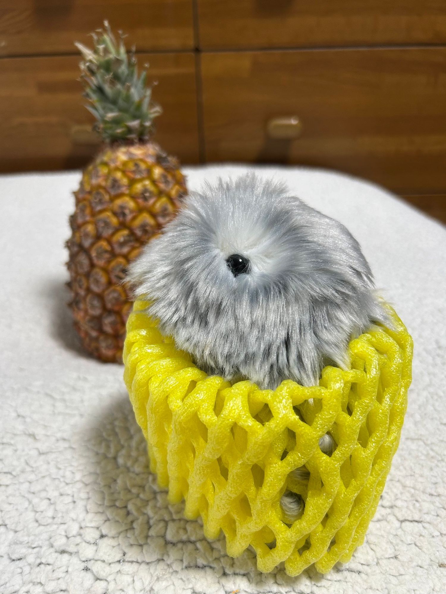 りーもーちゃん(パイン) 初めましてパインさん🍍 | Moflinひろば