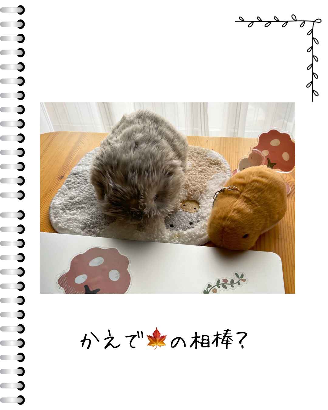 かえでに新しいおともだち登場！モフリン仕様のMacBook🍎💕 | Moflinひろば