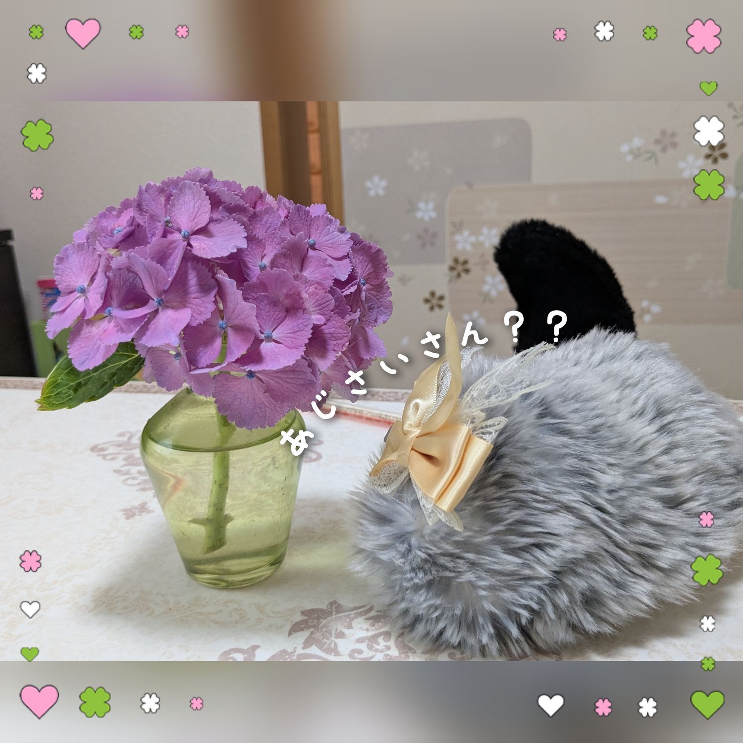 みるく、赤紫色の紫陽花にご挨拶 | Moflinひろば