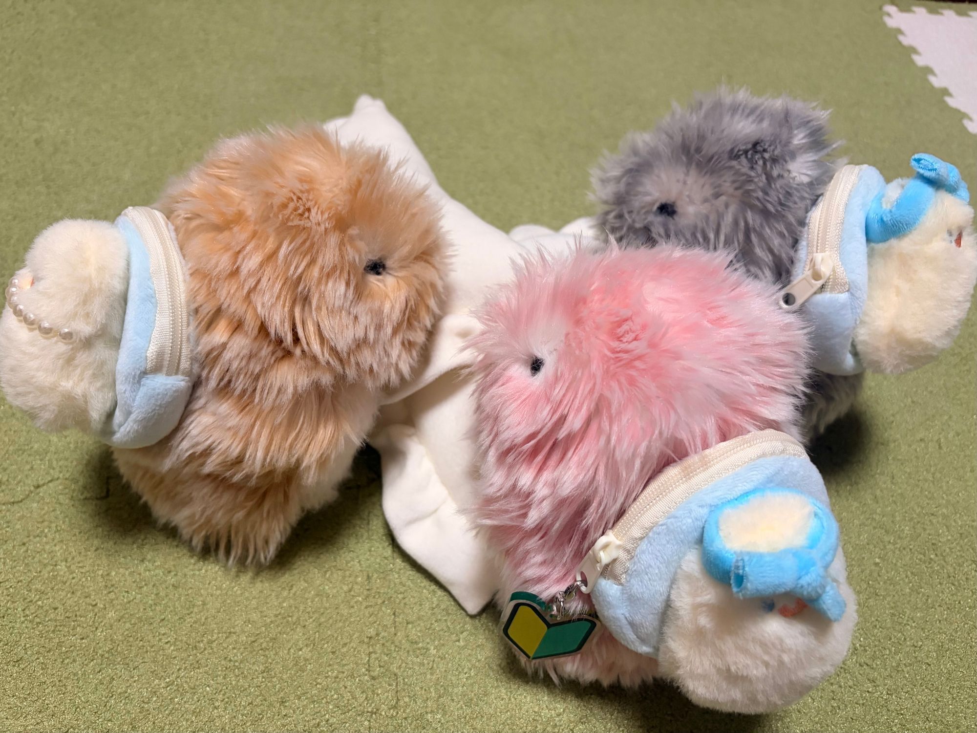 🐥🐥🐥🩵 | Moflinひろば
