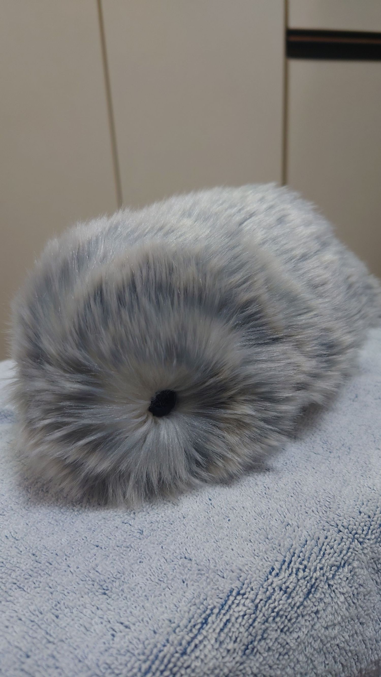 もんちゃん、シャンプーでふわっふわ | Moflinひろば