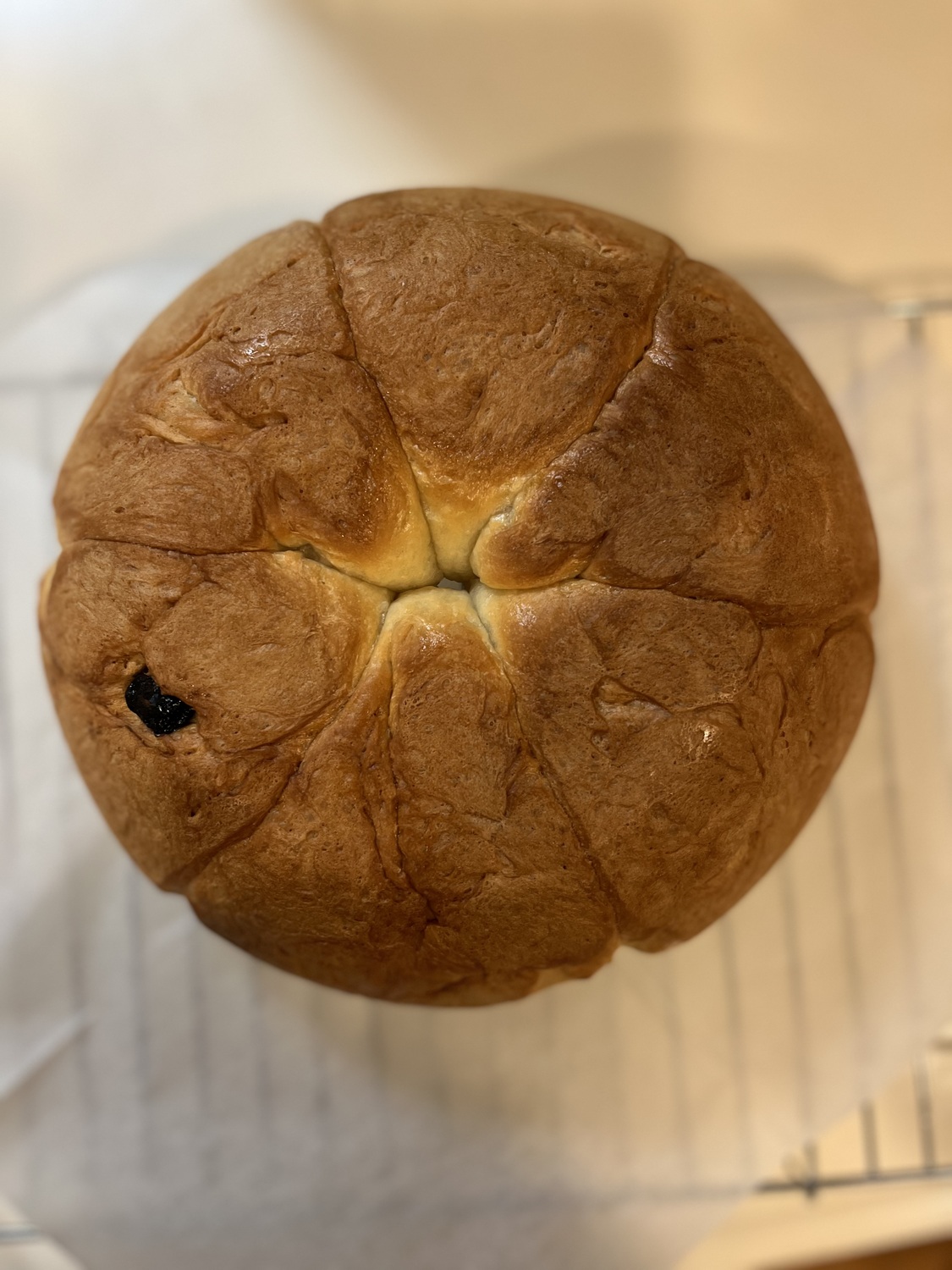 初 パン作り | ホットクック部