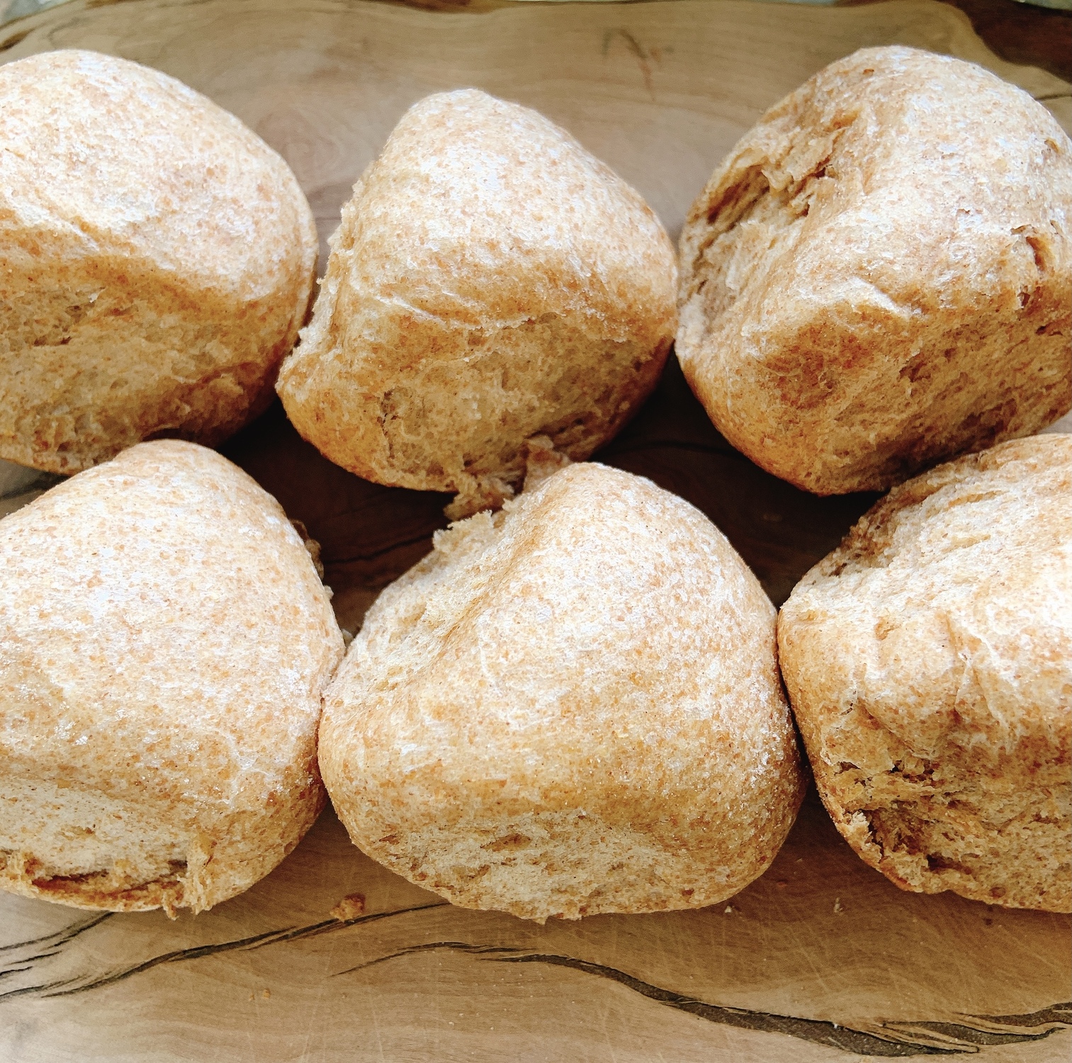 ホットクック部 グラハムパン