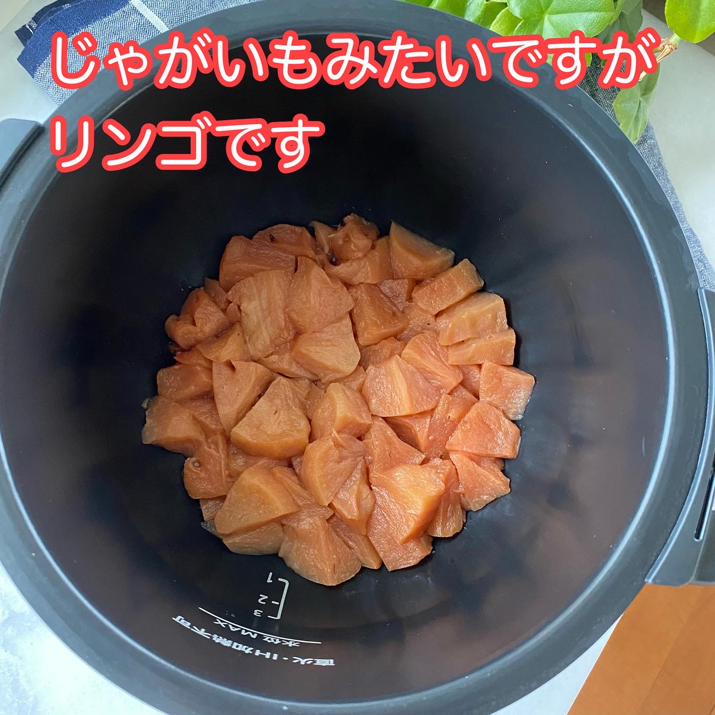 タルト・タタン型　銅 61pEw83Wo-L._UF350,350_QL80_.jpg