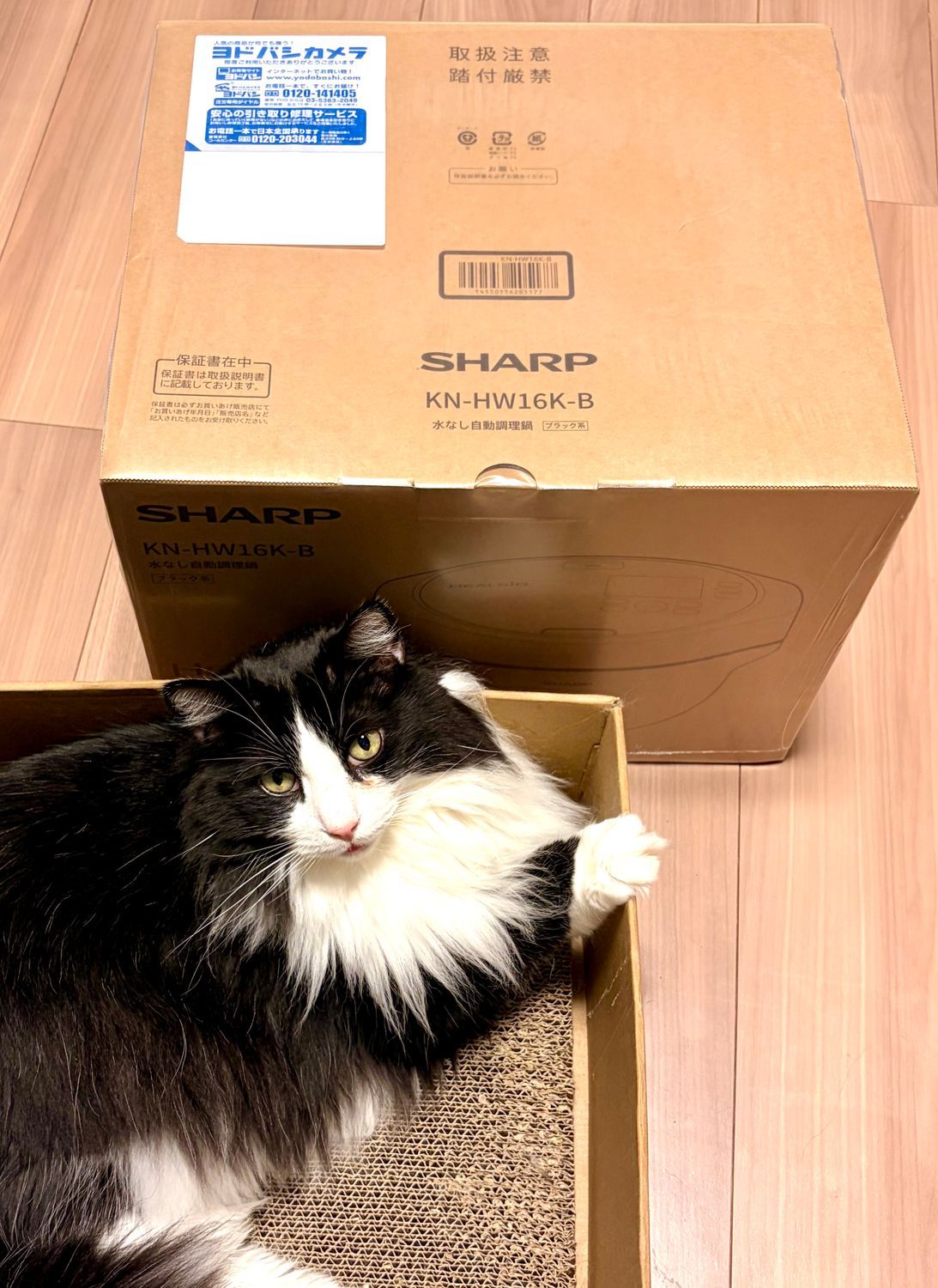 あお・ねこ　ホットクック 新型お迎え | ホットクック部