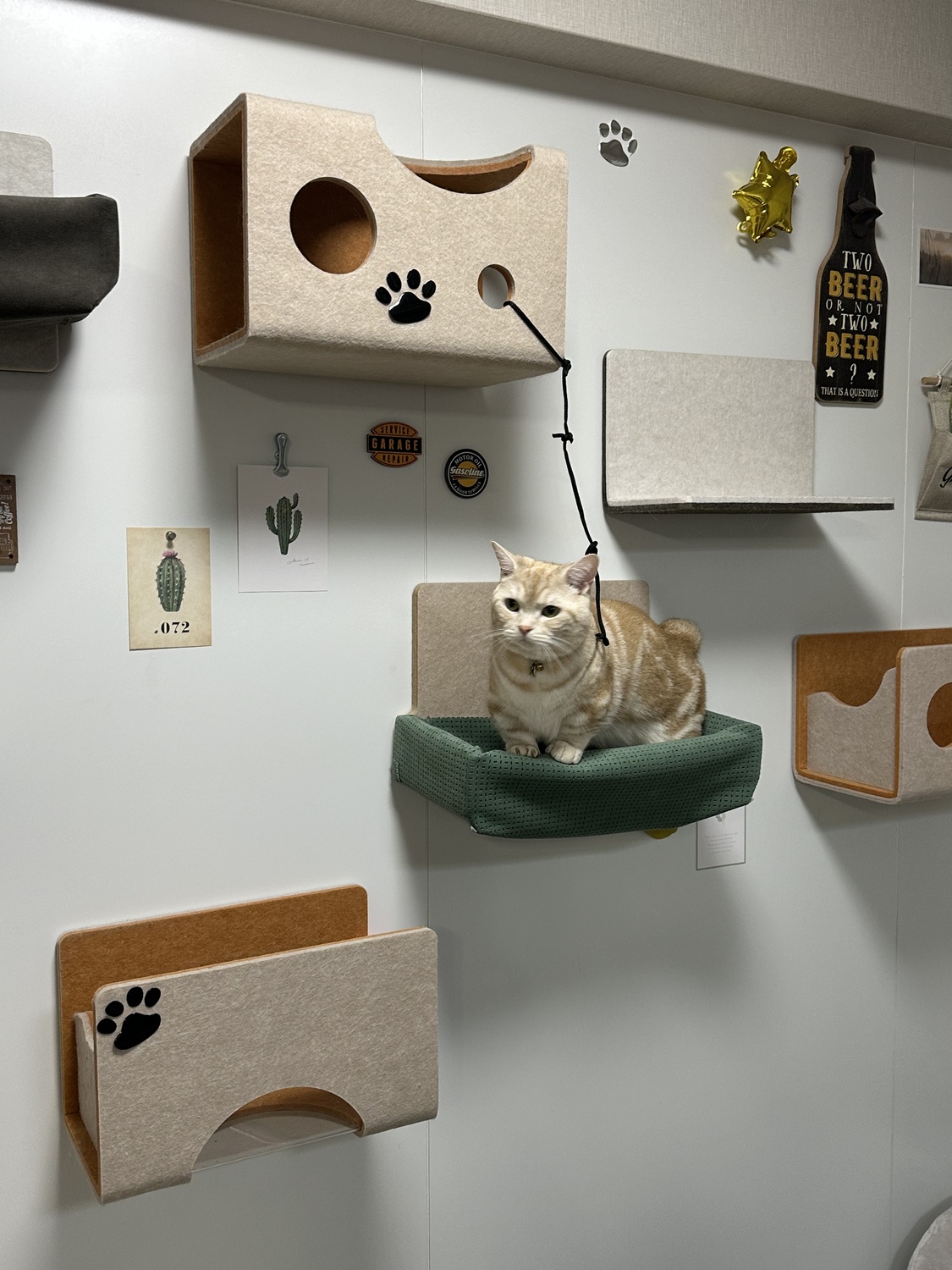 猫壁パーツ [ハンモック] 【LIXILオンラインショップ】 にゃんぺき