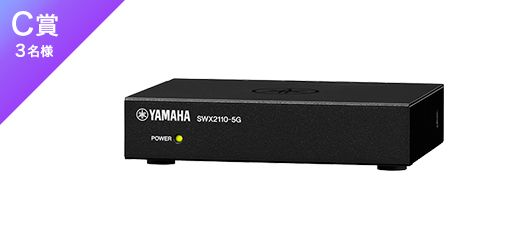 ＹY N商品☘️訳あり商品⚠️ 送料無料／カシミヤ 100% ストール カシミア 大判 ギフト